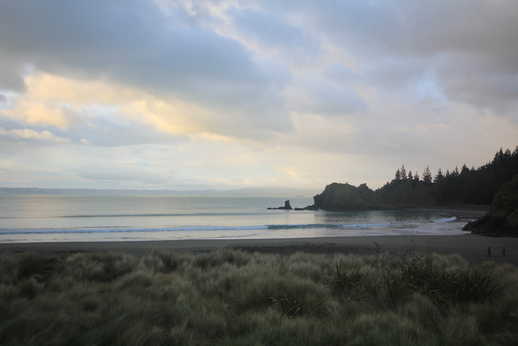 Photograph of Whites Bay in the Marlborough wine region