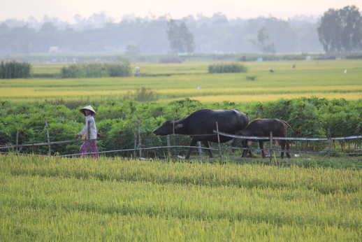 Photograph of the bike ride